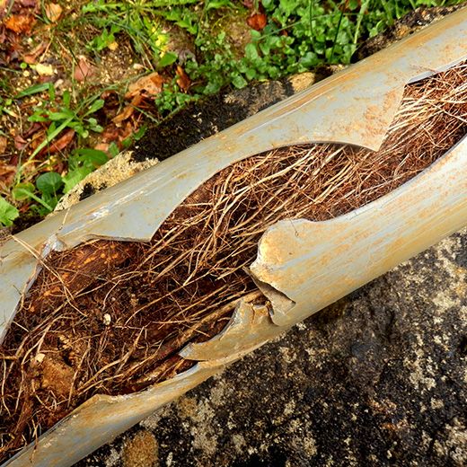 Same Day Drain Sewer & Rooter Pros Across Chester